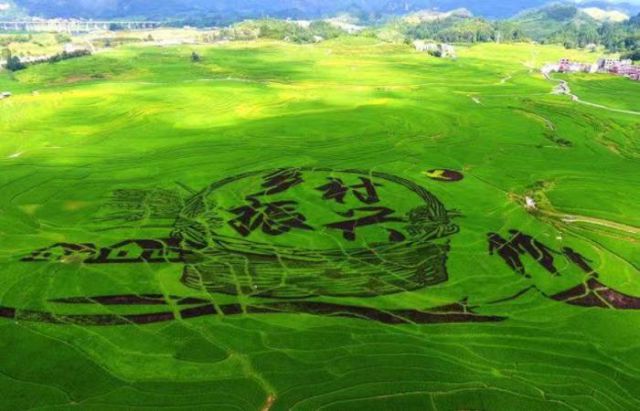 HJC黄金城平台投资集团发起&ldquo;乡村振兴微电影评选推广项目&rdquo; 